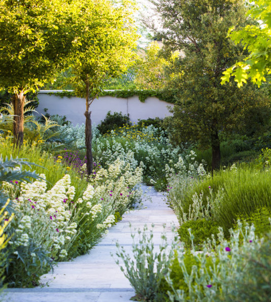 El futuro empieza ahora