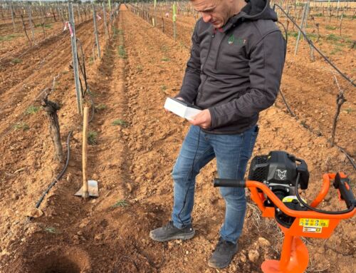 Agricultura inteligente: tecnología que impulsa un campo más eficiente y sostenible
