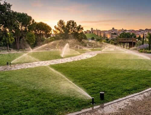 Soluciones sostenibles para el riego en parques
